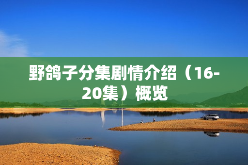 野鸽子分集剧情介绍（16-20集）概览