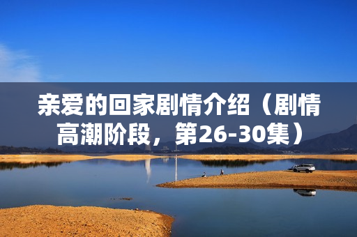 亲爱的回家剧情介绍（剧情高潮阶段，第26-30集）