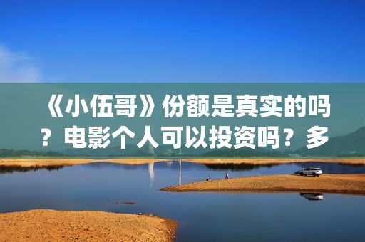 《小伍哥》份额是真实的吗？电影个人可以投资吗？多少起投呢？(小伍哥是谁呀)