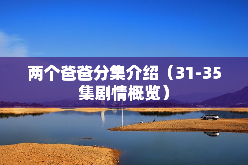 两个爸爸分集介绍（31-35集剧情概览）