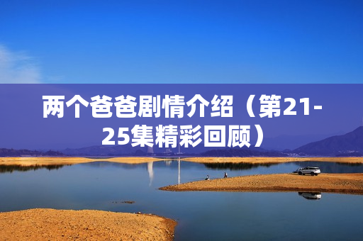 两个爸爸剧情介绍（第21-25集精彩回顾）