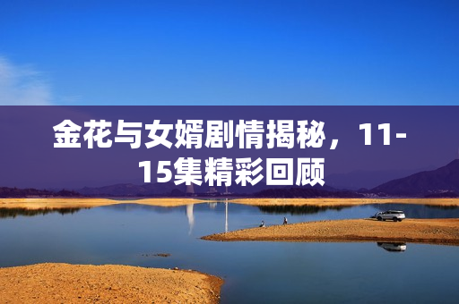 金花与女婿剧情揭秘，11-15集精彩回顾