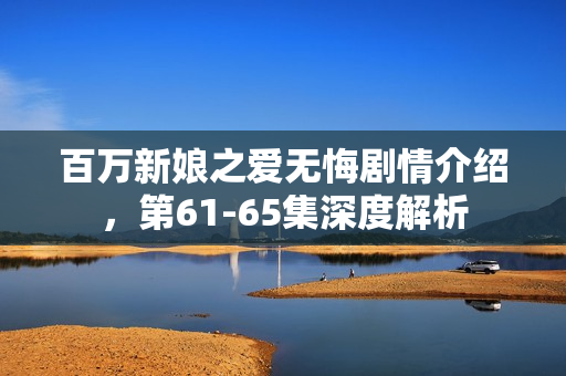 百万新娘之爱无悔剧情介绍，第61-65集深度解析