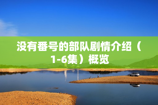 没有番号的部队剧情介绍（1-6集）概览