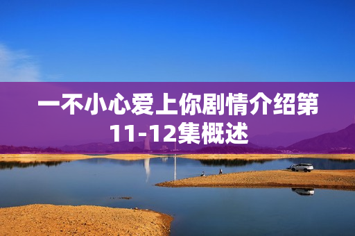 一不小心爱上你剧情介绍第11-12集概述