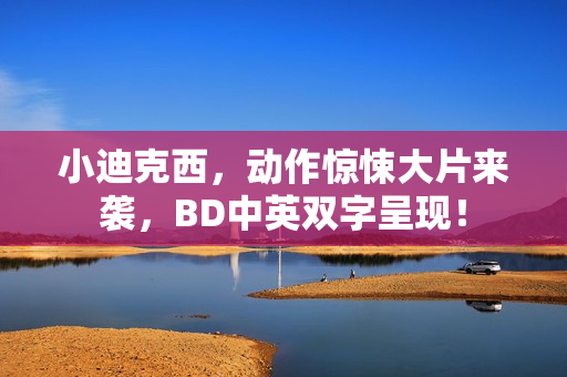 小迪克西，动作惊悚大片来袭，BD中英双字呈现！