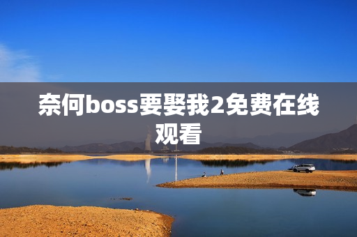 奈何boss要娶我2免费在线观看