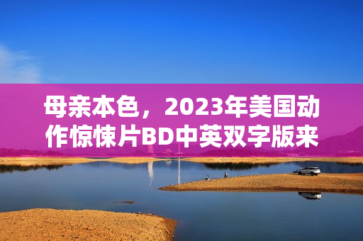 母亲本色，2023年美国动作惊悚片BD中英双字版来袭