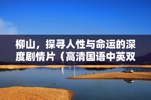 柳山，探寻人性与命运的深度剧情片（高清国语中英双字字幕）