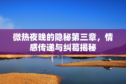 微热夜晚的隐秘第三章，情感传递与纠葛揭秘