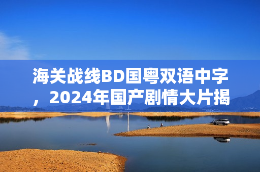 海关战线BD国粤双语中字，2024年国产剧情大片揭秘