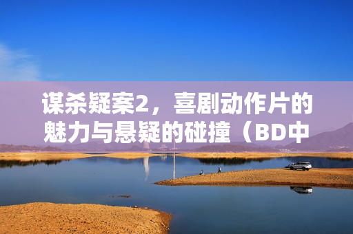 谋杀疑案2，喜剧动作片的魅力与悬疑的碰撞（BD中英双字字幕）