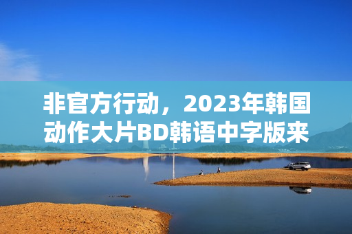 非官方行动，2023年韩国动作大片BD韩语中字版来袭