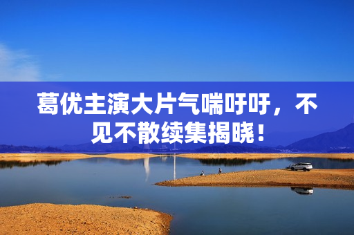葛优主演大片气喘吁吁，不见不散续集揭晓！