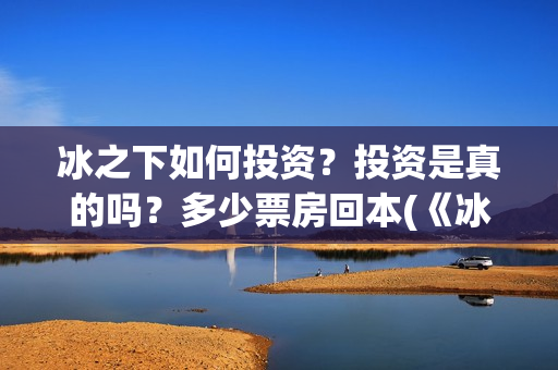 冰之下如何投资？投资是真的吗？多少票房回本(《冰之下》)