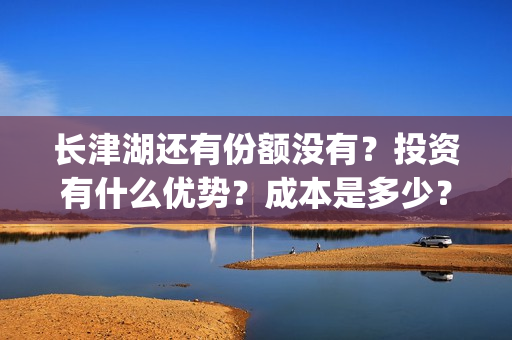 长津湖还有份额没有？投资有什么优势？成本是多少？(长津湖还有后续吗)