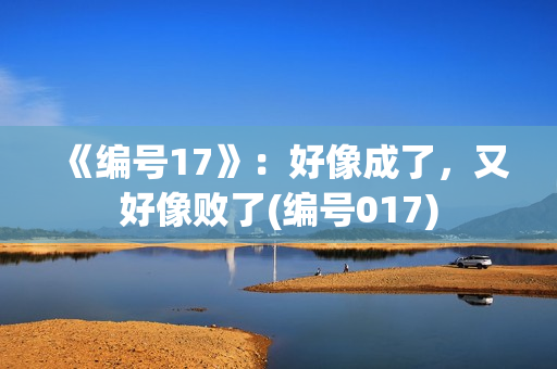 《编号17》：好像成了，又好像败了(编号017)