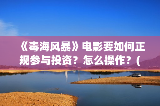 《毒海风暴》电影要如何正规参与投资？怎么操作？(毒海风暴有哪几个公司参与)
