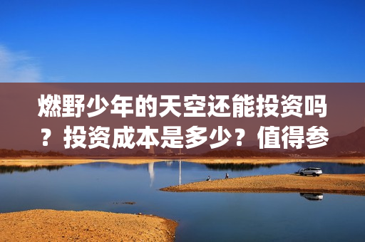 燃野少年的天空还能投资吗？投资成本是多少？值得参与投资吗？(燃野少年的天空电视剧免费观看全集)