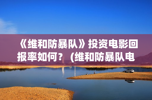 《维和防暴队》投资电影回报率如何？ (维和防暴队电视剧免费观看)
