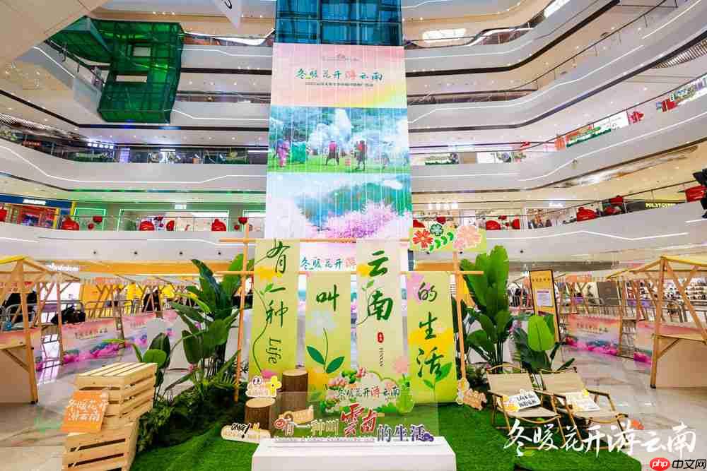 冬暖花开游云南  文旅联动谱新篇