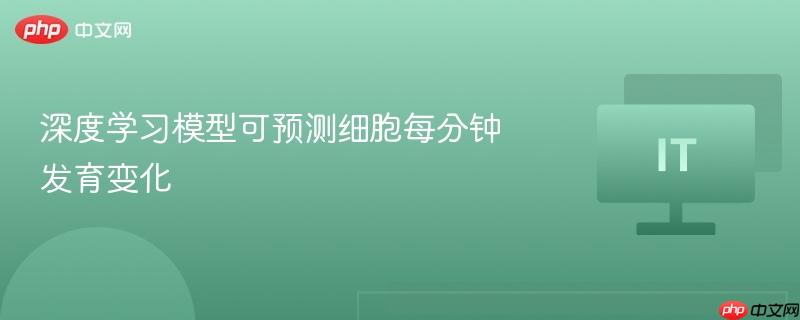 深度学习模型预测细胞每分钟发育动态