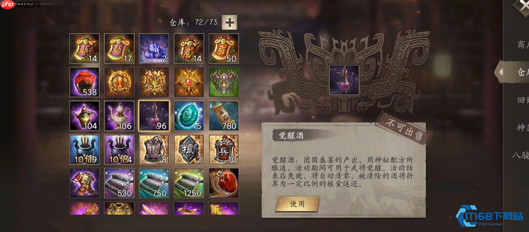 主将升级终极指南 高效资源分配与战力飞跃秘籍