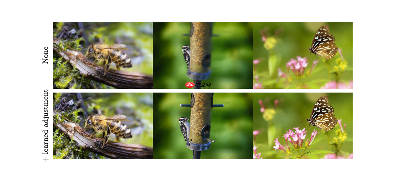 1秒将2D图片变3D！苹果AI图像新突破