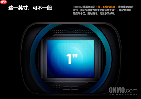 OPPO、vivo们排队进入Pocket赛道 手机不香了？