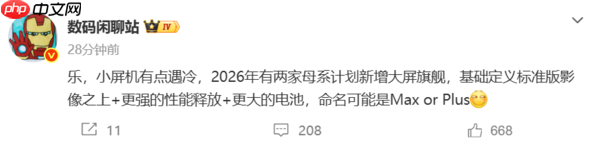 小屏机不香了？曝2026年两家母系厂商新增大屏旗舰