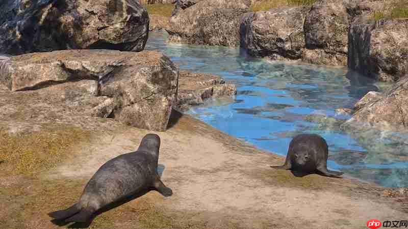 颂钟长鸣大型更新概览：全新生物登陆哈尔玛尔群岛