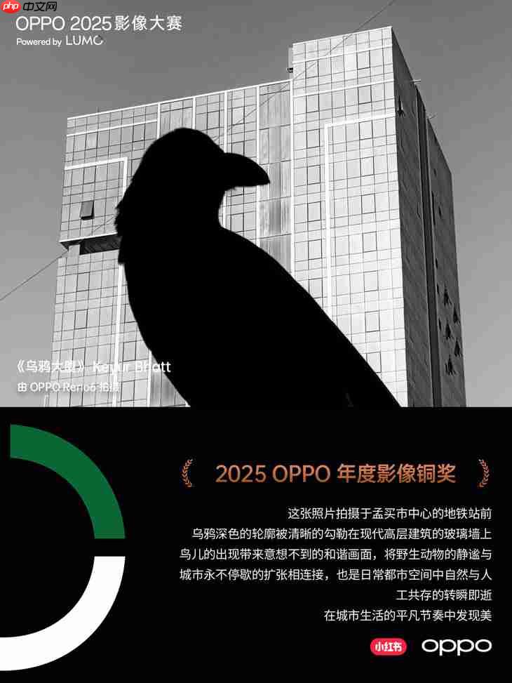 点亮感动时刻 OPPO 2025影像大赛获奖作品正式公布