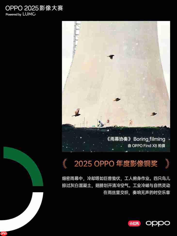 点亮感动时刻 OPPO 2025影像大赛获奖作品正式公布