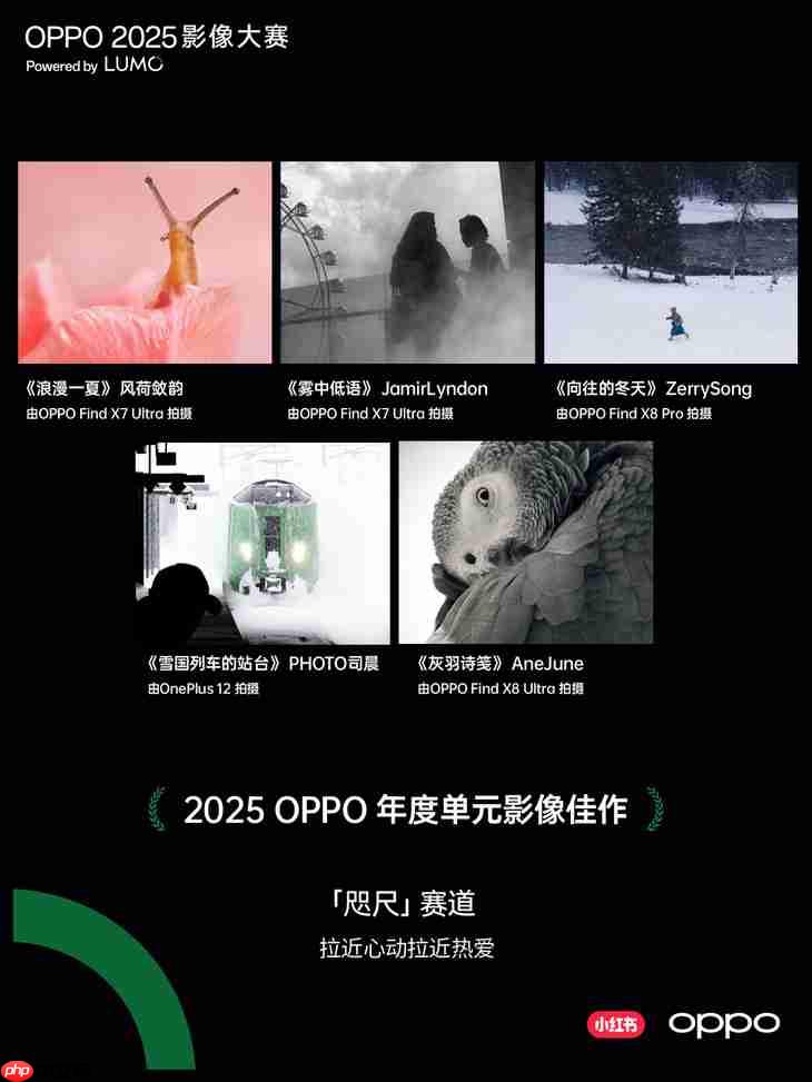 点亮感动时刻 OPPO 2025影像大赛获奖作品正式公布