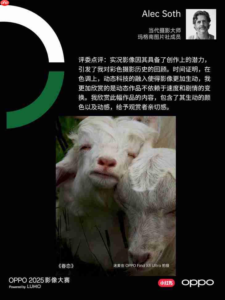 点亮感动时刻 OPPO 2025影像大赛获奖作品正式公布