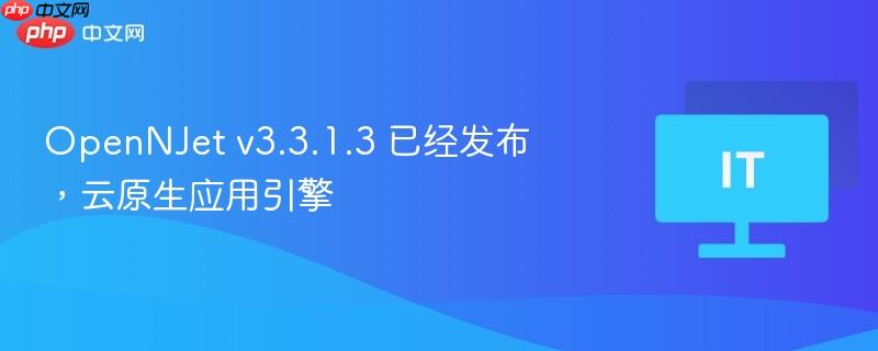 OpenNJet v3.3.1.3 云原生应用引擎发布