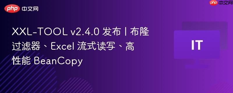 XXL-TOOL v2.4.0新功能发布，布隆过滤器、Excel流式读写及高性能BeanCopy重磅上线！