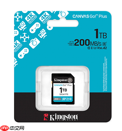 冬季外拍实力派 金士顿CanvasPlus系列存储卡