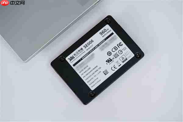 SATA SSD顶尖水平!长江存储SE006 960GB图赏