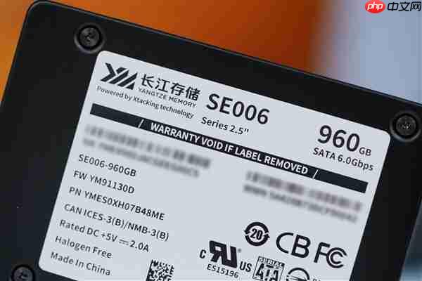 SATA SSD顶尖水平!长江存储SE006 960GB图赏