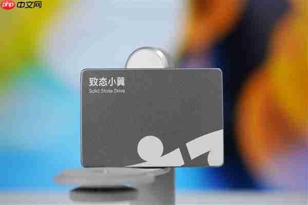 长江存储原厂颗粒！致态小翼S001 1TB SSD图赏