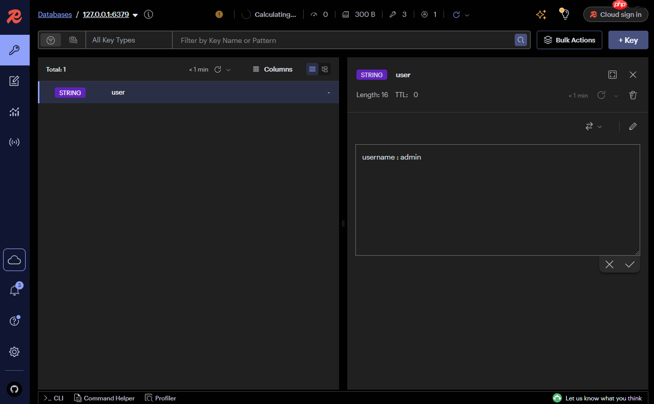 Rudis v0.2.0 正式发布，高性能内存数据库