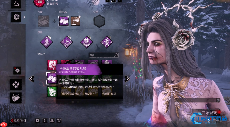 乌鸦女巫核心玩法解析 从技能搭配到配件选择的完整攻略