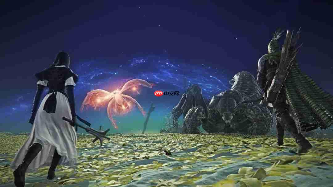 翘臀修女姐姐!《艾尔登法环黑夜君临》DLC角色PV:送葬者