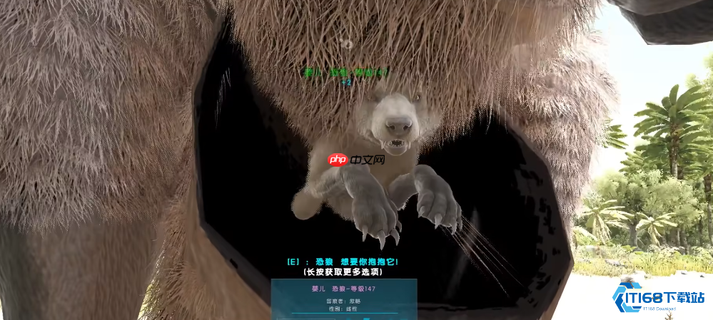 巨型袋鼠全攻略:移动运输与育幼神器