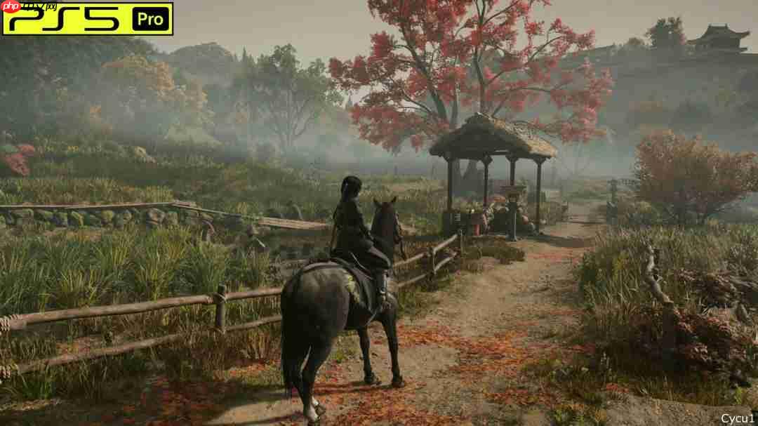 《刺客信条:影》PS5 Pro和Switch 2画面对比