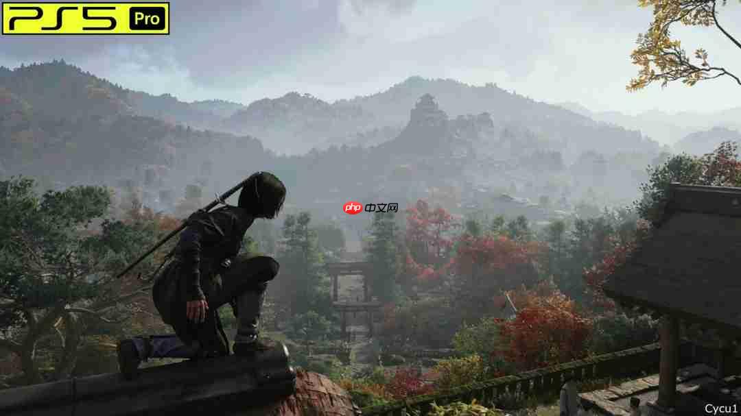 《刺客信条:影》PS5 Pro和Switch 2画面对比