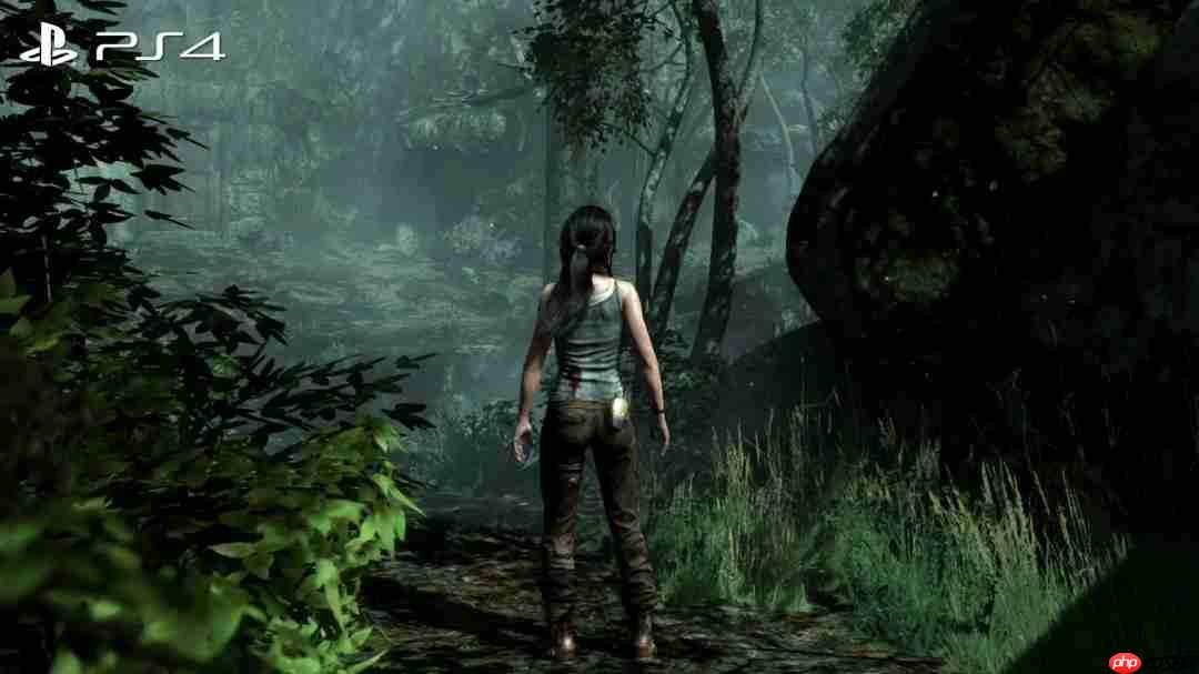 《古墓丽影9》NS2版画面大缩水 甚至不如PS3原版