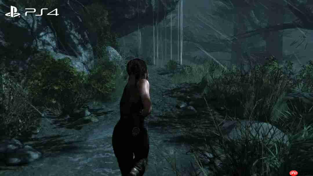 《古墓丽影9》NS2版画面大缩水 甚至不如PS3原版