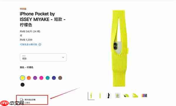 iPhone Pocket全球售罄：苹果“一块布”卖1299元